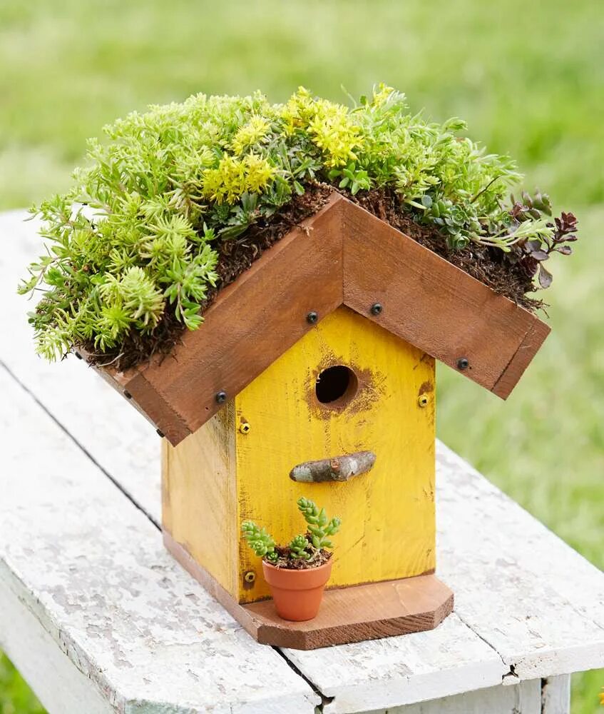 Home bird. Скворечник. Декоративные скворечники для сада. Оративные скворечники. Дизайнерские скворечники.