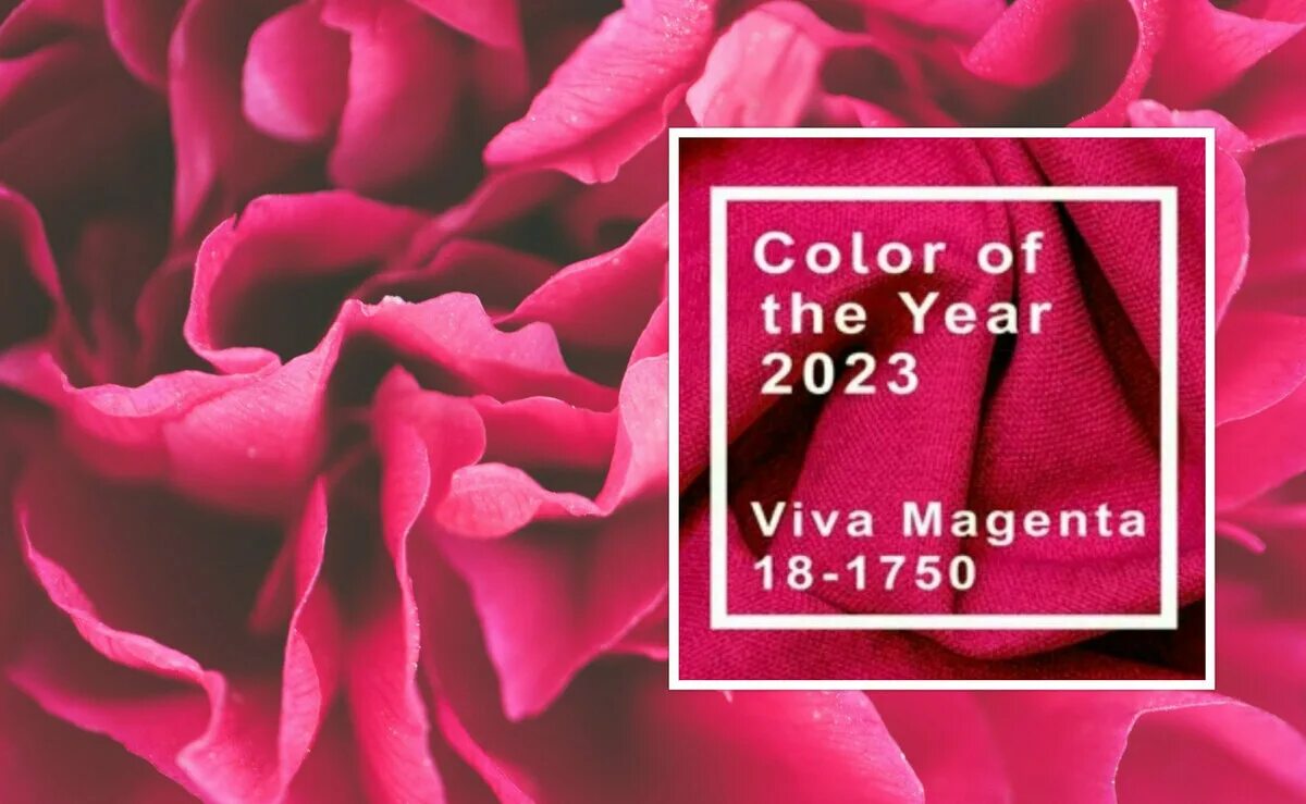 Цвет 2025 как называется. Цвет 2025 как называется