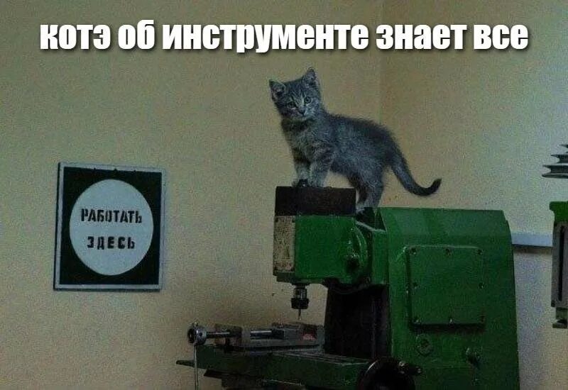 Кот на заводе мем. Кот на заводе. кот работяга на заводе. на завод мем коты. кот в цеху.