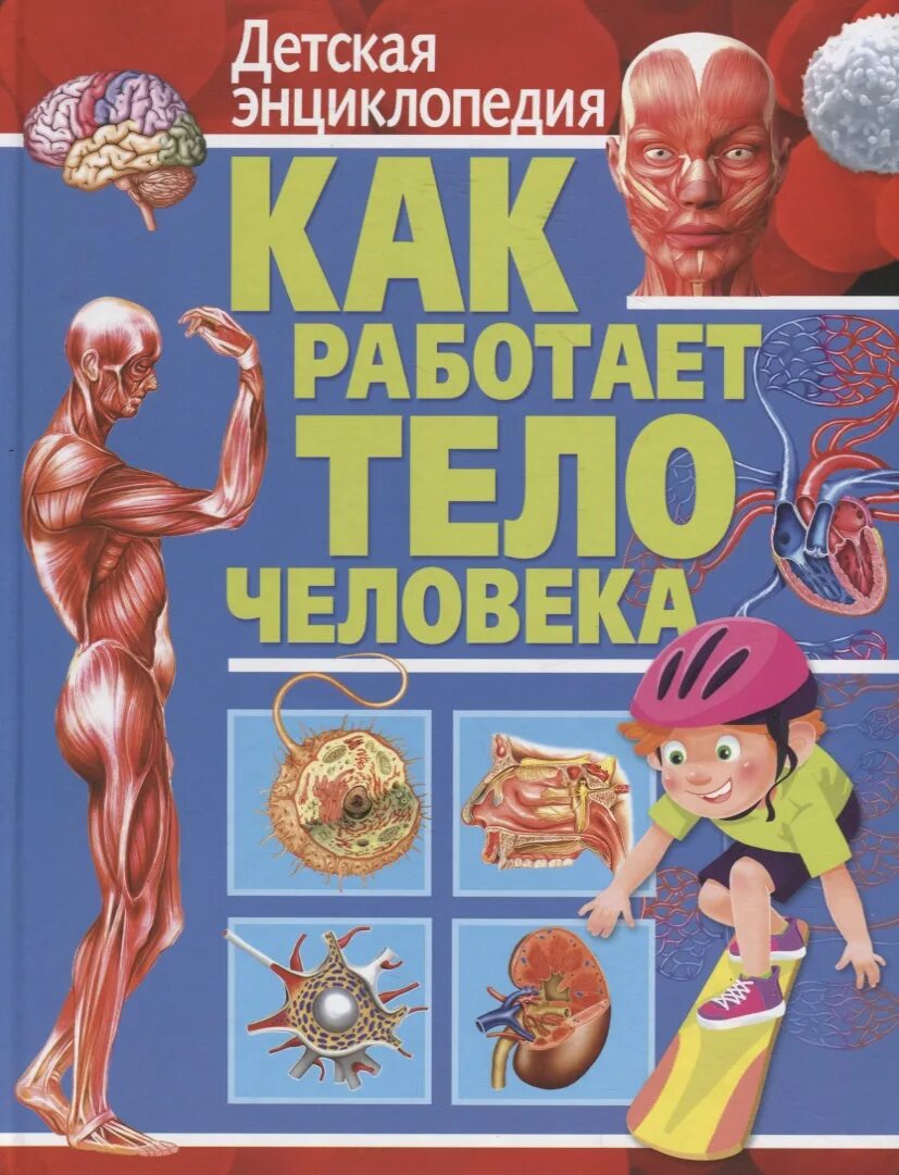 Книга энциклопедия человек. Тело человека. Детская энциклопедия. Тело человека книга для детей. Энциклопедия про организм человека для детей. Энциклопедия человеческое тело для детей.