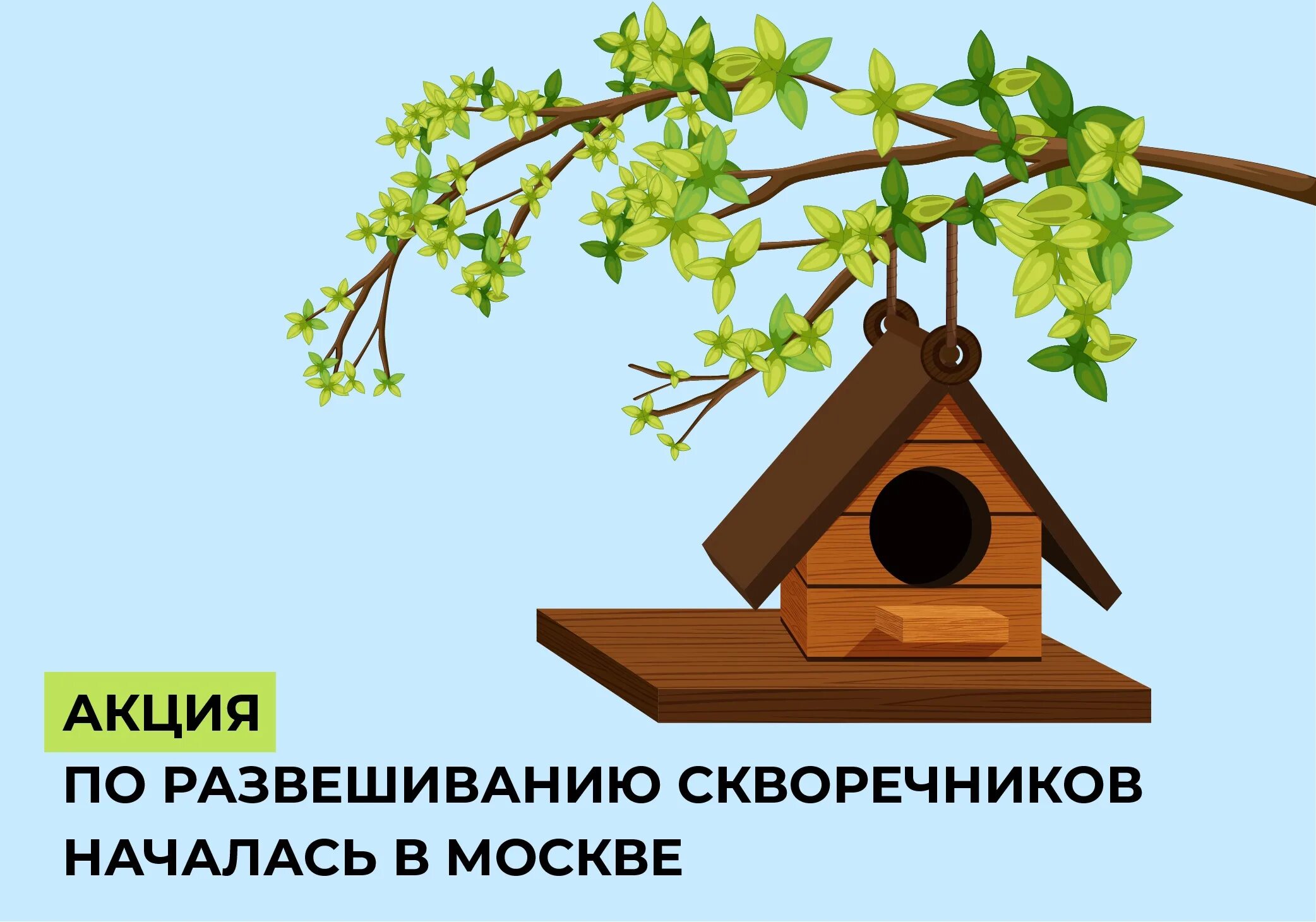 Скворечник ударение. Скворечники. Акция скворечники для птиц. Скворечник рисунок. Скворечник фон рисунок.