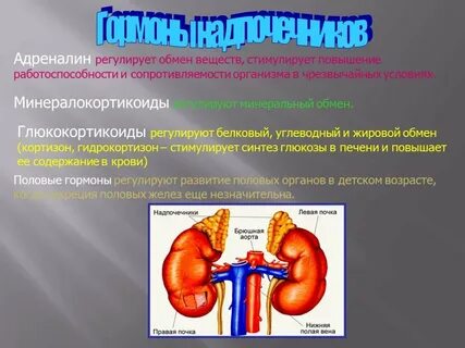 Какой гормон продуцируют надпочечники