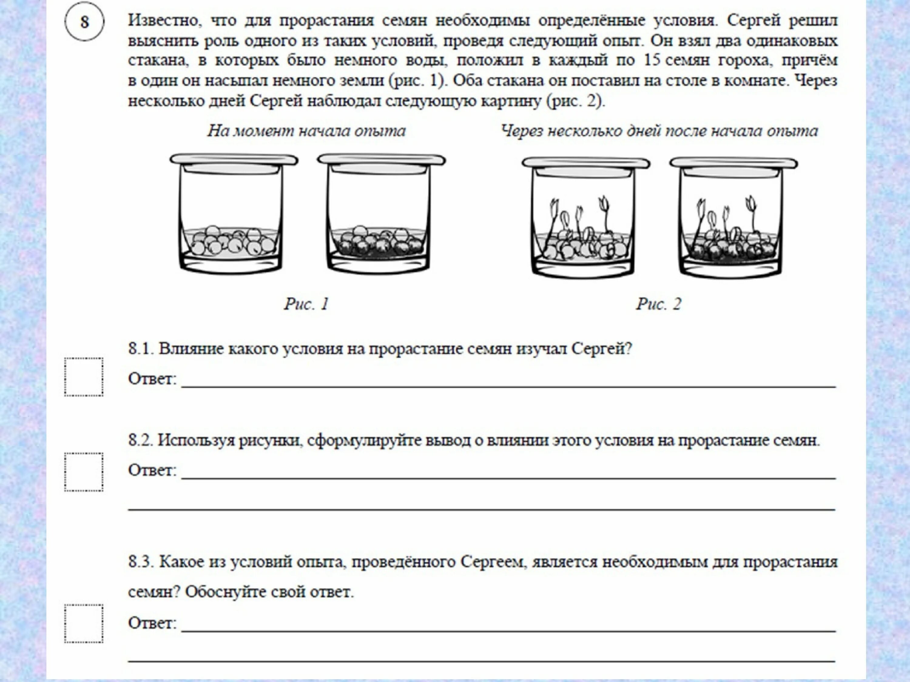 Впр жизнь природы во всех ее. Опыты ВПР биология 6 класс. Эксперимент по биологии 6 класс прорастание семян. ВПР биология 6 класс 8 задание, эксперимент. Влияние условий на прорастание семян.