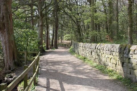 Freedoms path
