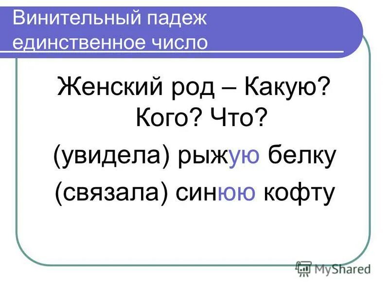 Извинить друга падеж. Винительный падеж падеж. Винительный падеж единственного числа. Vinitelni PADEJ. Единственный число мужской род и винительный падеж.