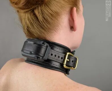 Delupet shock collar