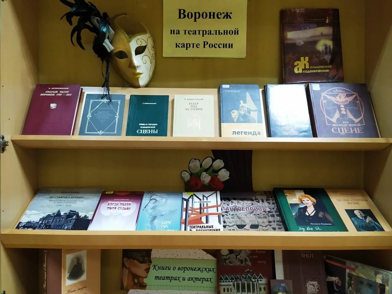 Библиотека искусств им Пушкина Воронеж. Волшебный мир театра книжная выставка. Выставка к Дню театра в библиотеке. Пушкин библиотечная выставка.