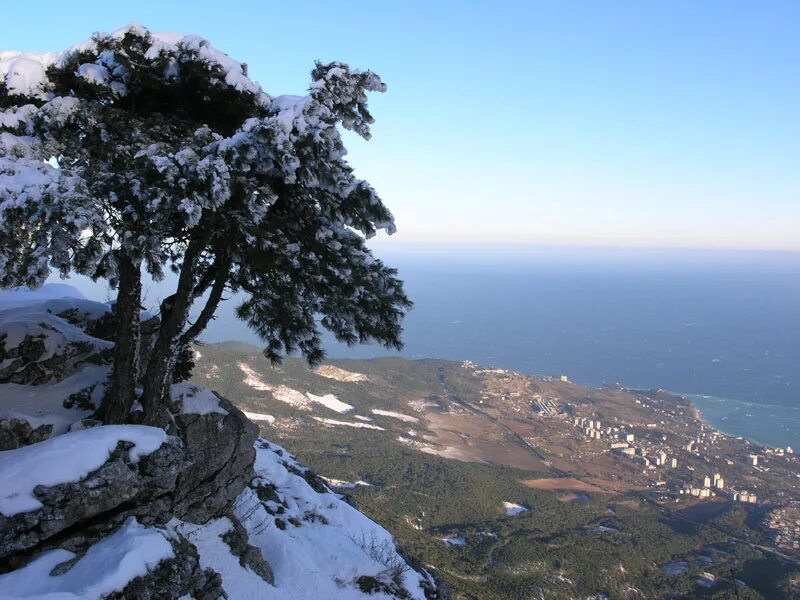 В крыму зимой тепло. Ай петри вид зимой. ай петри из окна. новый год с вершины ай-петри. природа крымского среднегорья зимой.