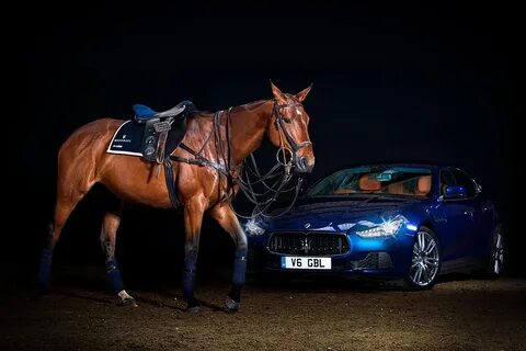 Bmw лошади