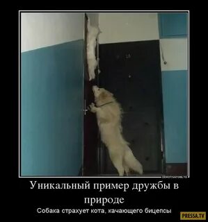 Не успел спрятаться