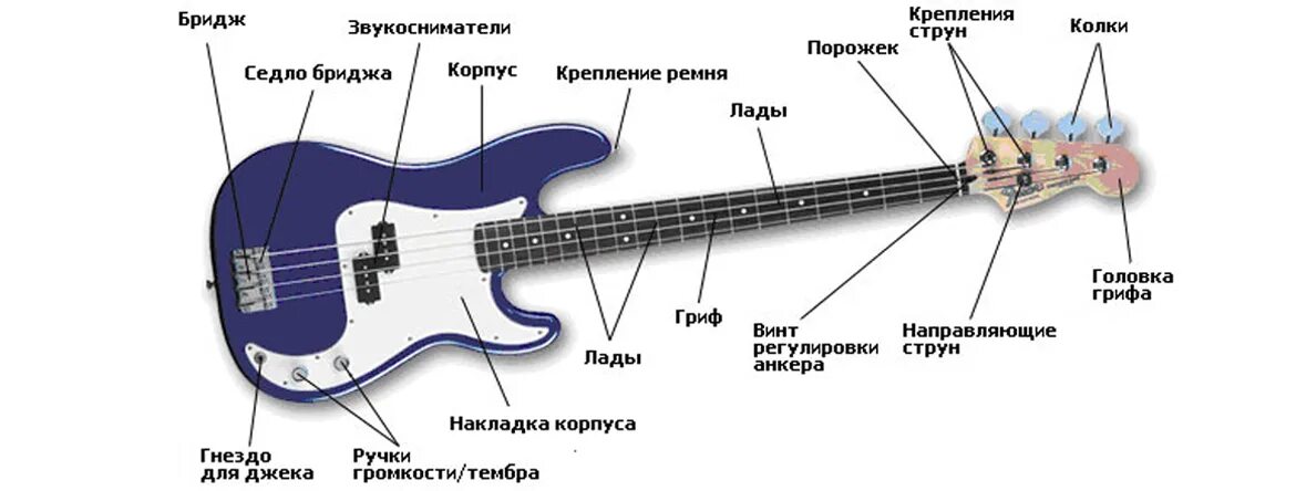 Строение бас гитары 4 струны. Электрогитара басс строение. Строение электро бас гитары. Строение гитары электро.