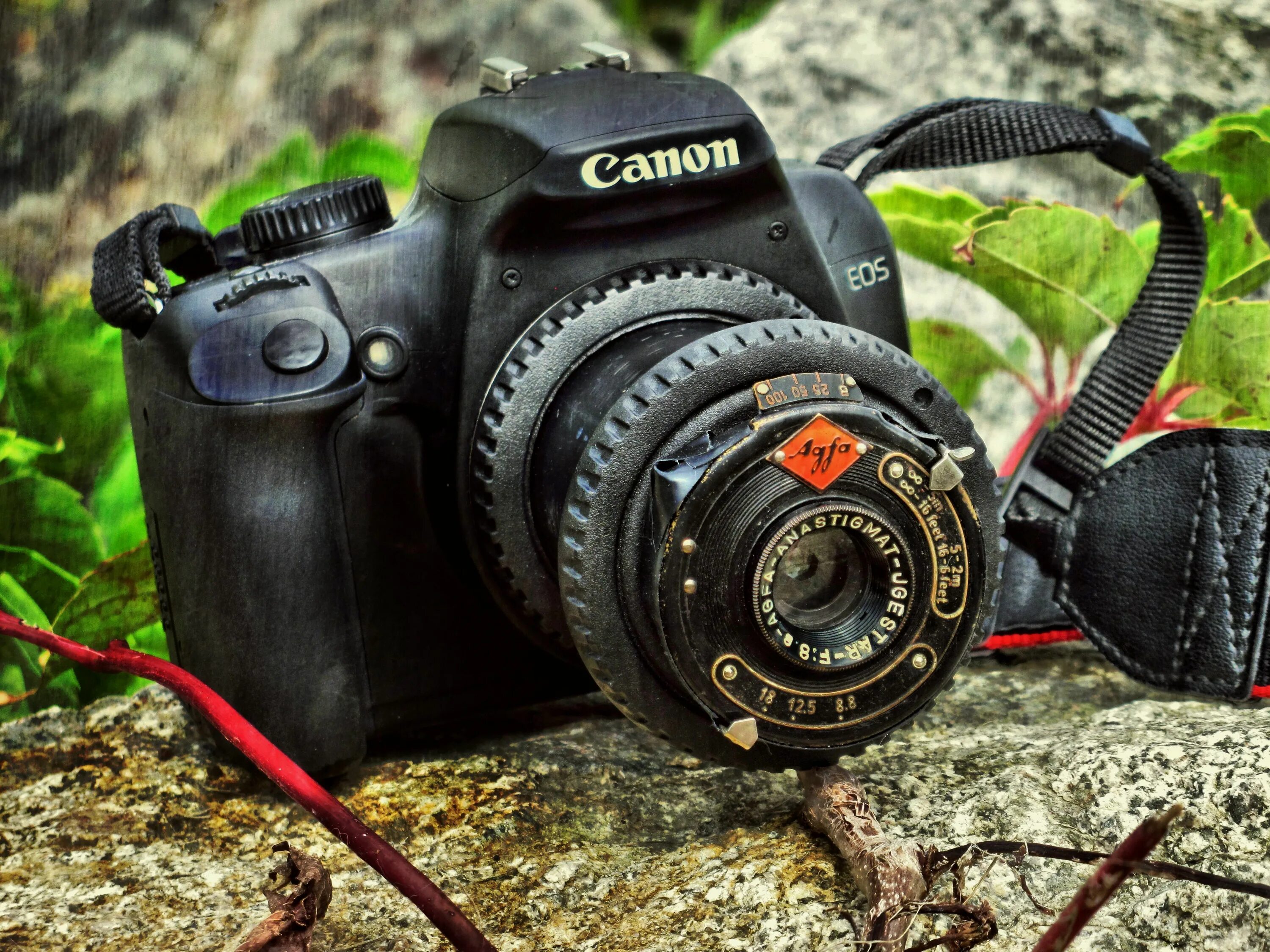 Canon ru фотоаппарат. Canon DSLR. DSLR И SLR. Canon DSLR Camera. Canon d610.