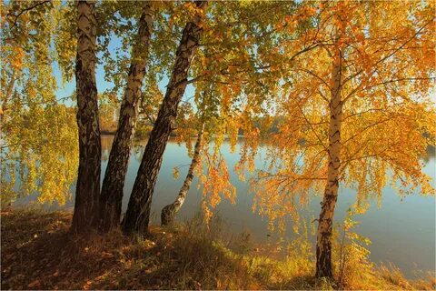 Чуть шелестят