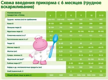 Первый прикорм для грудничков как приготовить