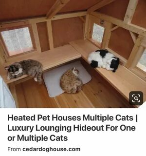 Утеплить кошка