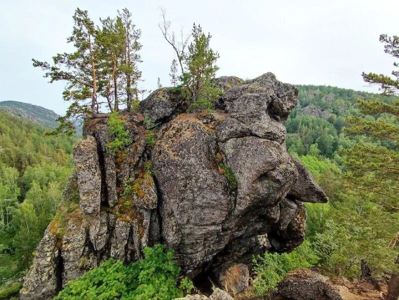 сад богов колорадо. местные диковинки. причудливые скалы. каменные грибы около демерджи. испания барденас реалес фото.
