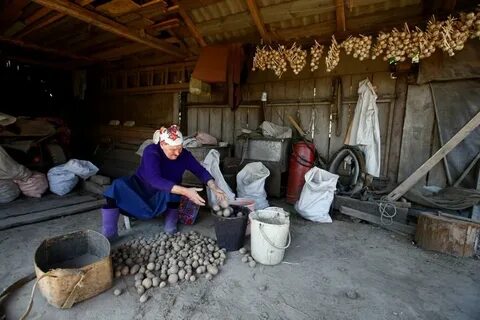 Жизнь в белоруссии