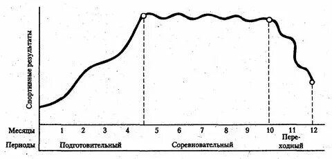 Обычный тренировочный год имеет периода. Циклы периодизации тренировочного процесса. Обычный тренировочный год имеет периода. Годичное планирование. Периоды спортивной тренировки.