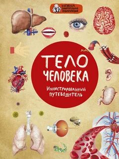 Новая увлекательная