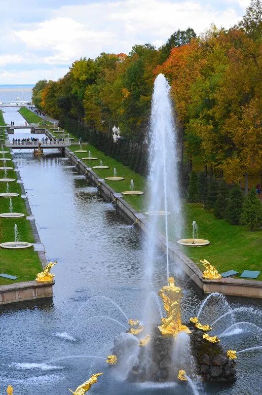 петергоф нижний парк морской канал. петродворец аллея фонтанов самсон. аллея фонтанов в петергофе. аллея фонтанов в петергофе. английский парк петергоф.