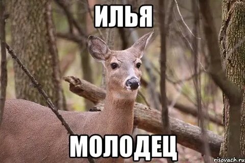 Ну ладно играю