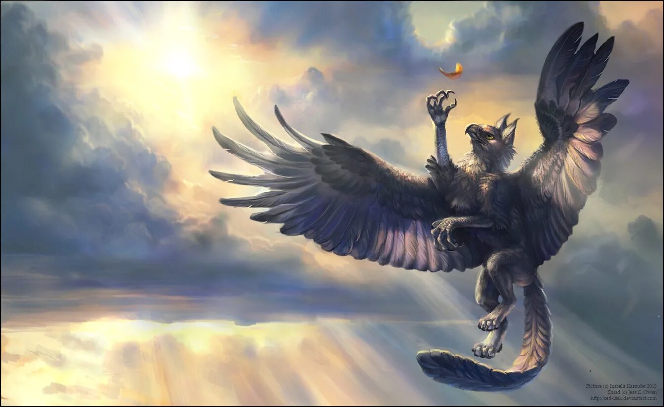 соколов дедал привязывает крылья икару. гарпии получеловек полуптица. люцифер денница утренняя звезда. гарпия данте. гарпии древнегреческая мифология.
