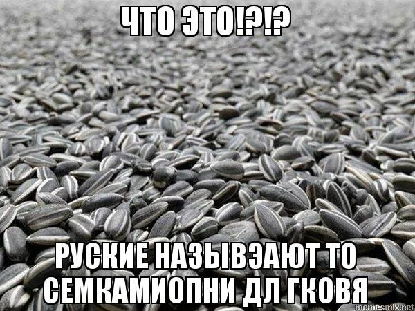 Мемы про семечки. Семечки мем. Мемы про семёна. Мемы про семечки. Семечки мем.