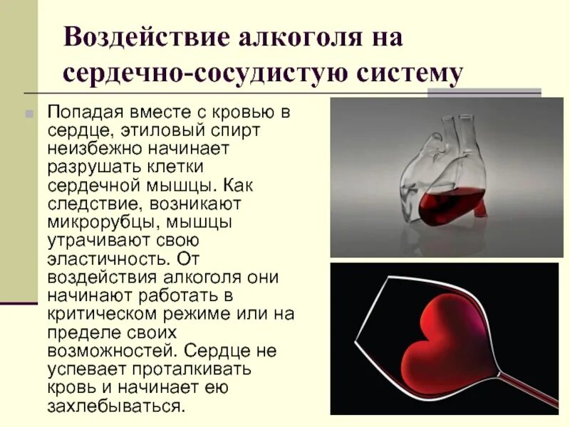 Бухало сердце. Влияние этилового спирта на сердечно сосудистую систему. Влияние этилового спирта на ССС.