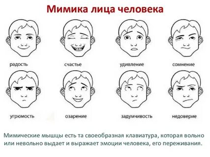 Мимика схемы