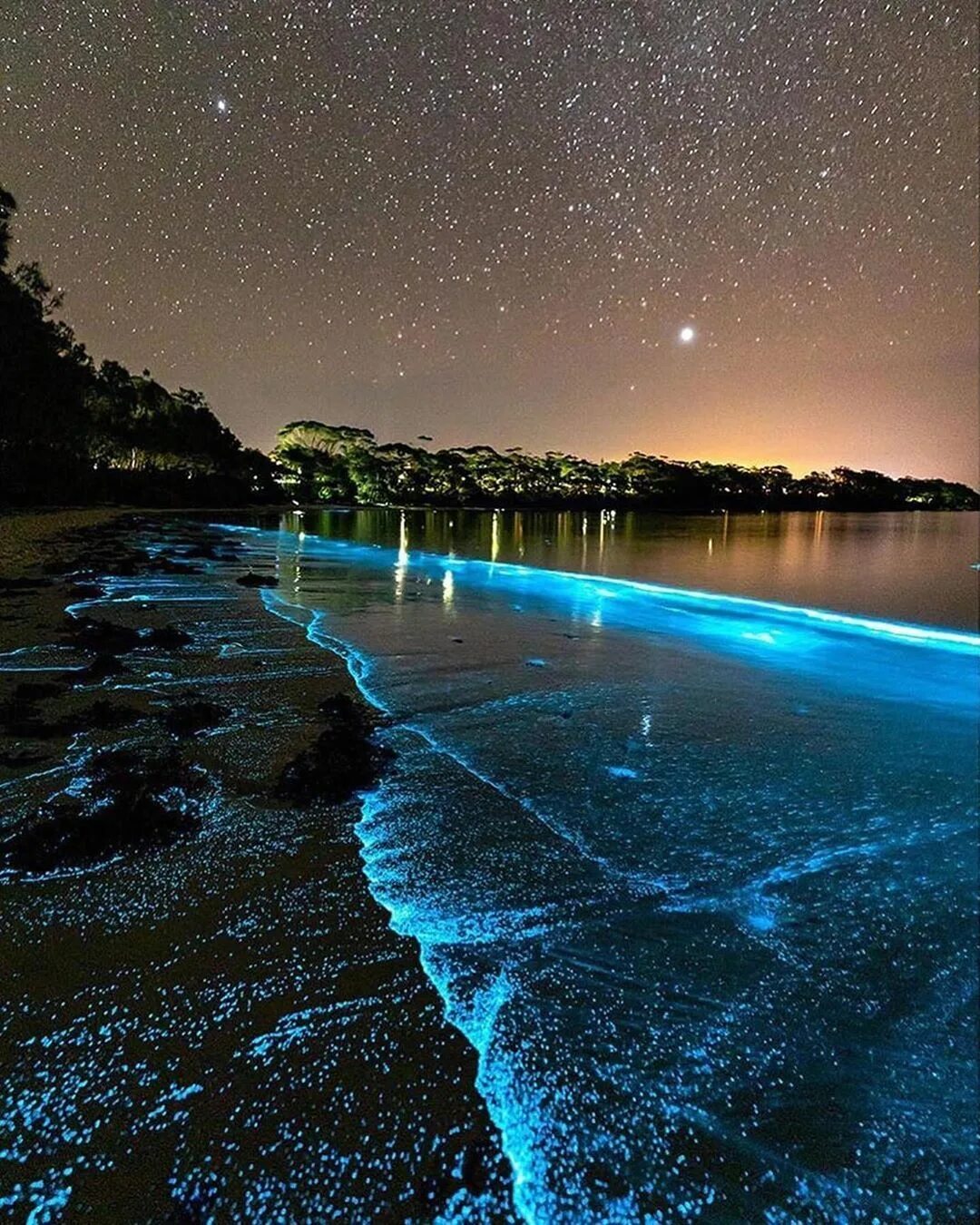 Остров ваадху, мальдивы. Планктон. Остров ваадху светящийся пляж. Свечение планктона. Остров ваадху мальдивы.