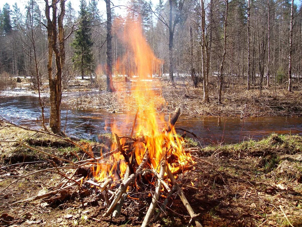 Разжигание костра в лесу. Разжигание костра в лесу. Пожарная безопасность при разведении костра. Место для костра в лесу. Разведение костров московская область.