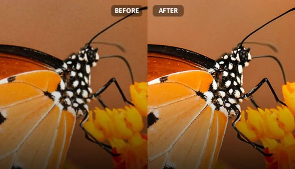 Anyrec ai image upscaler. Ai image upscaler. ai upscale image. ai upscale image widget.