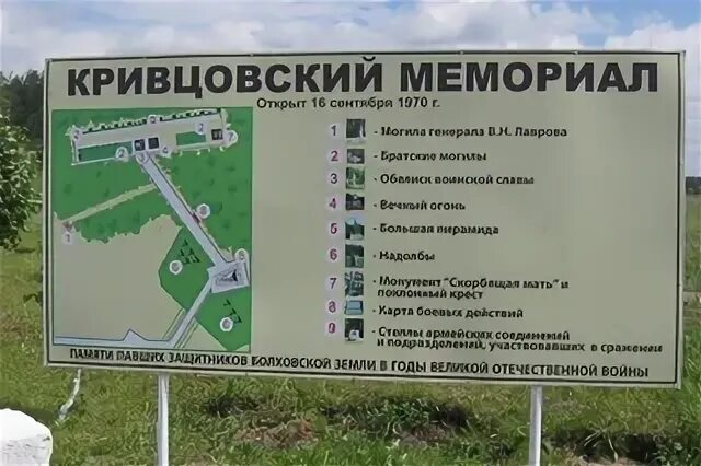 Автобусы кривцово