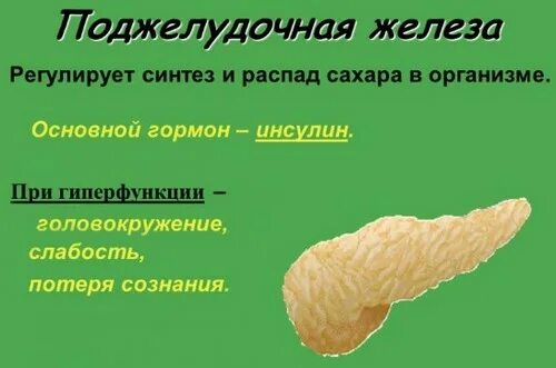 Гиперфункция эндокринной части поджелудочной железы. Поджелудочная гиперфункция и гипофункция. Гиперфункция поджелудочной железы. Гиперфункция поджелудочной. Гипо и гиперфункция поджелудочной железы.