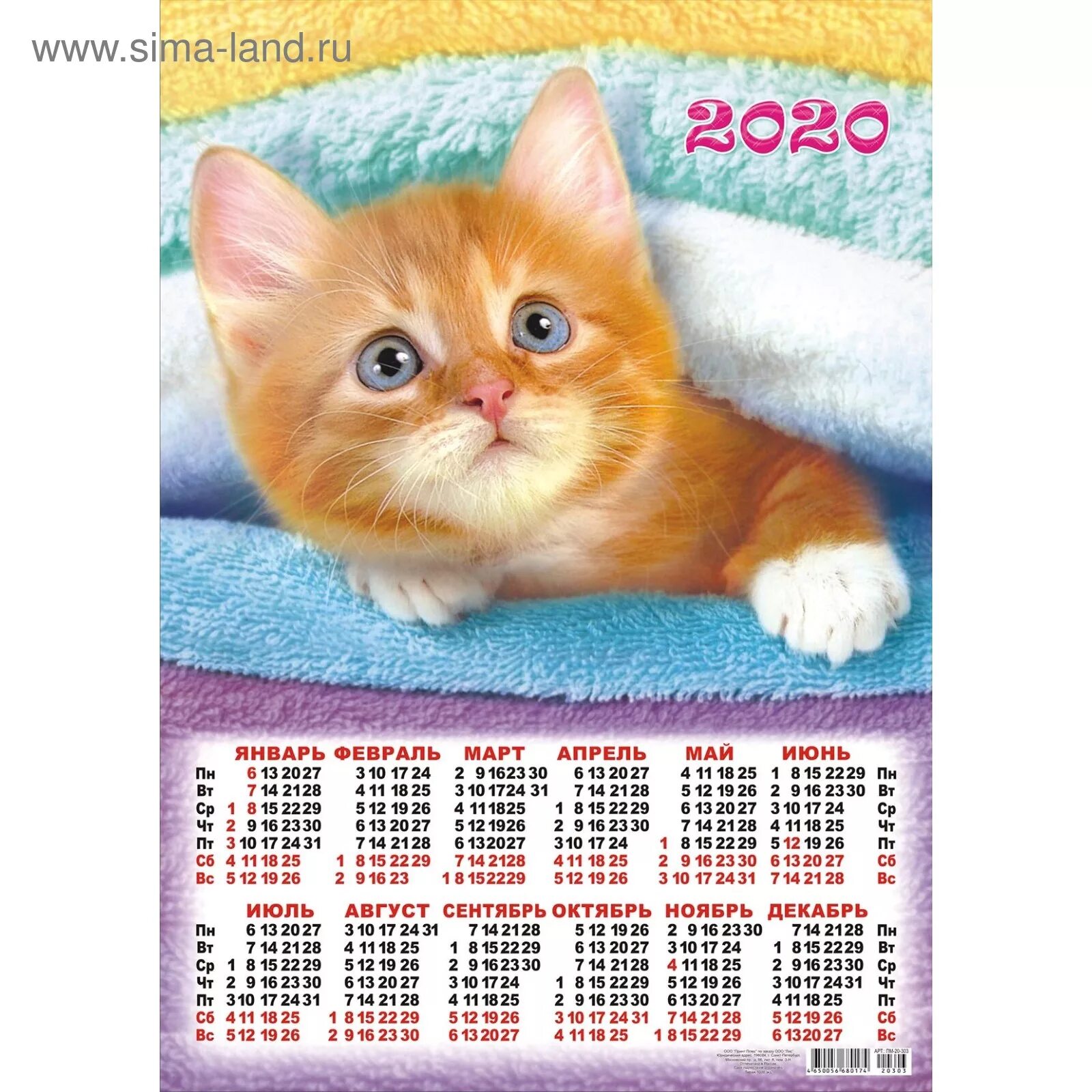 год кошечки 2023. календарь с котятами 2023. календарь с котиками. календарь 2023 с кошками. год кошечки 2023.