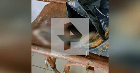 Четыре года спала с мумией своего мужа