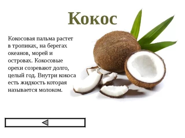 Кокос для презентации. Сообщение о кокосе. Витамины в кокосе. Интересные факты о кокосе. Кокос польза для организма