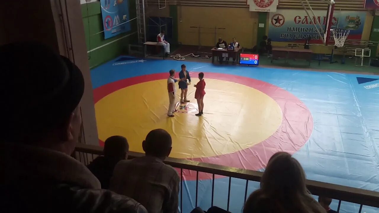 Самбо 3 медведя. Школа самбо медведь. Самбо три медведя. Школа самбо медведь. Спортивное самбо.