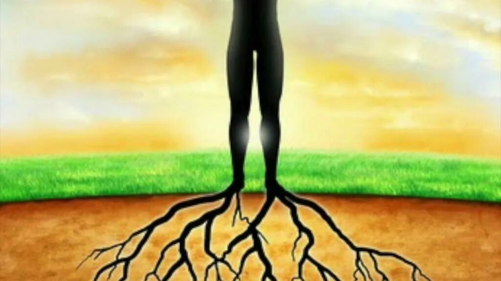 Сила рода дерево рода. Заземление медитация. Энергия земли. Заземление человека. Медитация заземления.