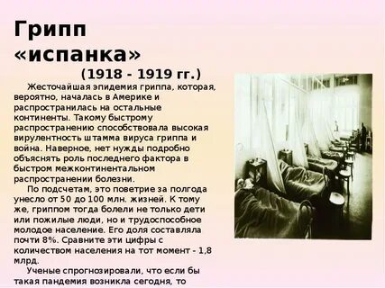 Сообщение на тему эпидемия