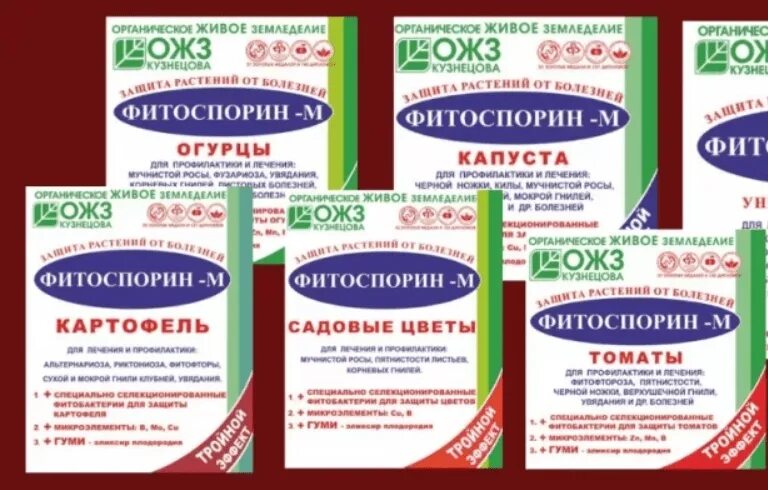 Как обработать картофель фитоспорином
