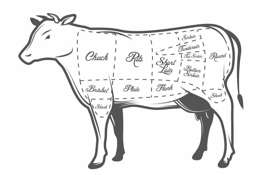 Схема разделки коровы. Схема разделки говяжьей туши вектор. Рибай на схеме разделки говяжьей туши. Схема разрубки говяжьей туши.