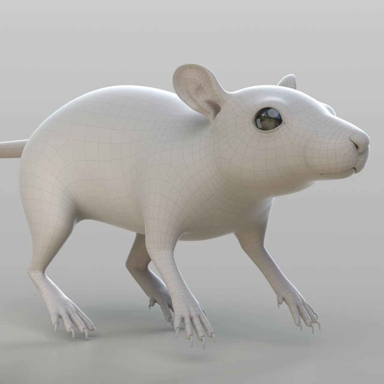 Модели мышей. Rat 3d. Крыса STL. Крыса 3д. Rat 3d model.