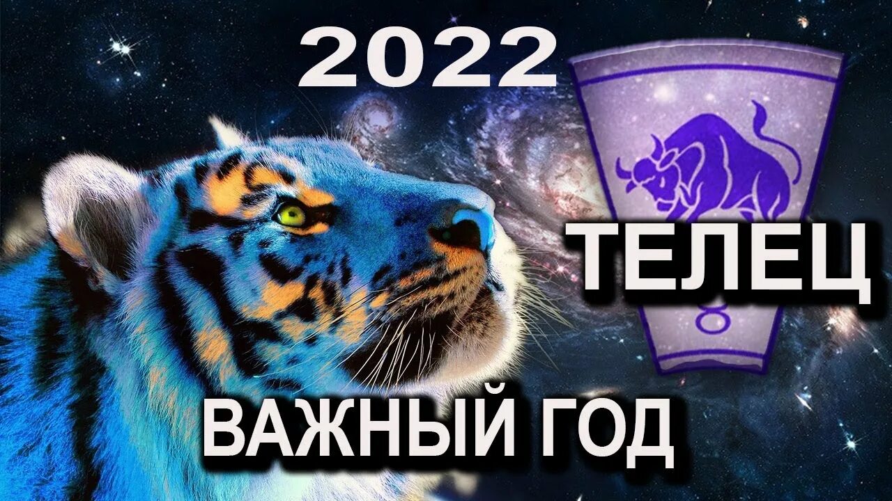 Тигр гороскоп на 2022. Телец тигр. Год тигра 2022. Год тигра по зодиаку Лев 2022. Тигр какой гороскоп