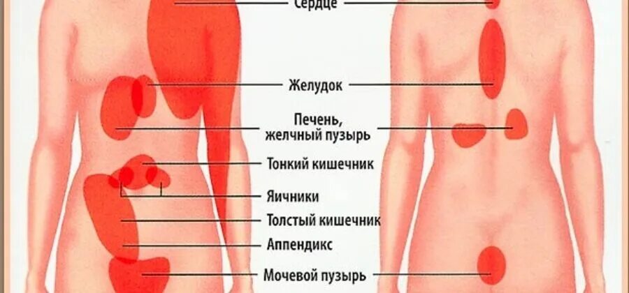 Солевой стороны под рёбрами. Болит левая сторона бока. Болит живот справа. Боль в левом боку.