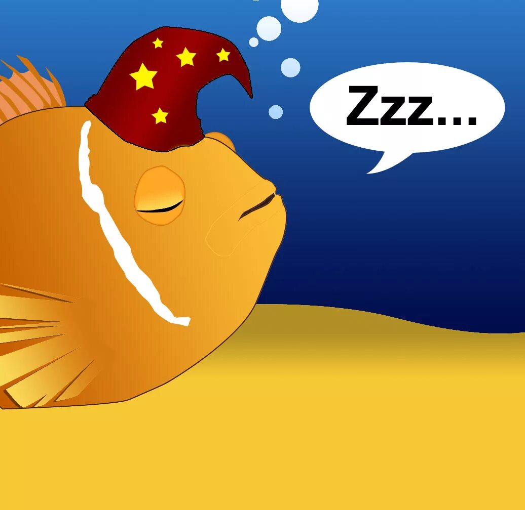 рыба боция клоун аквариумная. спящие рыбы. аквариумные рыбки спят. рыбка спит. рыбка спит.