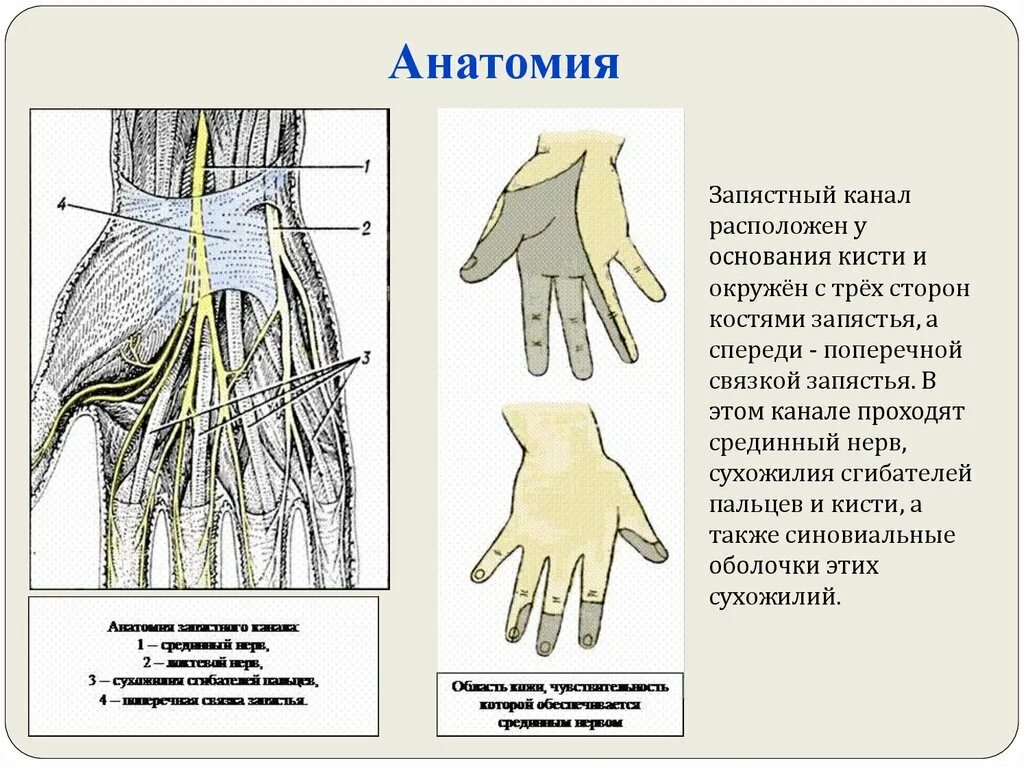 Как лечить лучезапястные