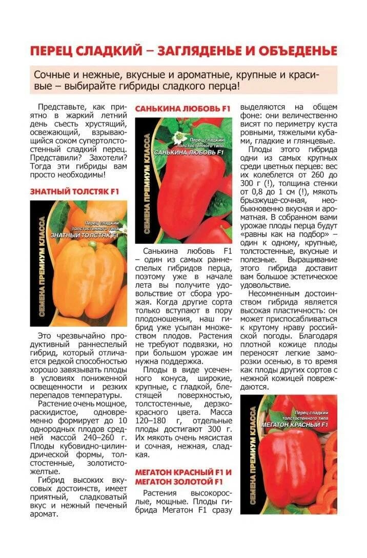 Перец любовь характеристика. Сорт сладкий перец санькина любовь. Перец love f1. Перец любовь f1 фото. Перец любовь характеристика.