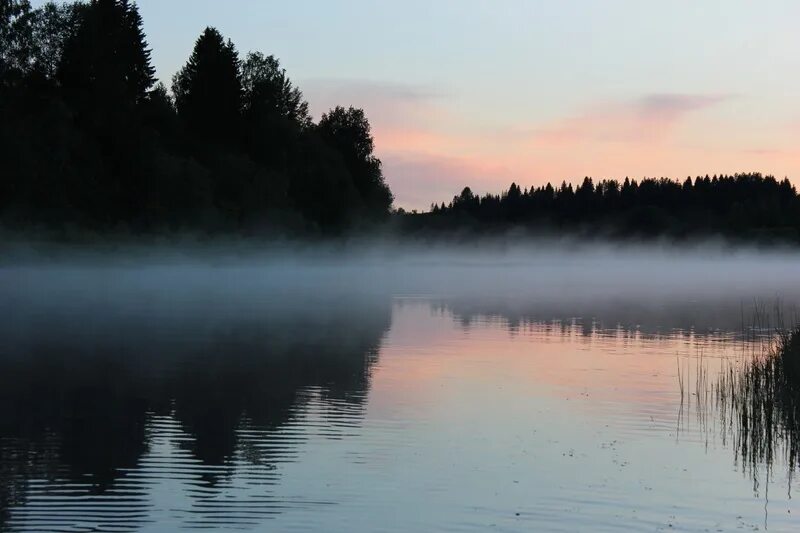 устье архангельская область. река устья архангельская область фото. устье архангельская область. база отдыха связист ленинградская область. устье архангельская область.