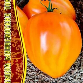 Томат минусинский биколор